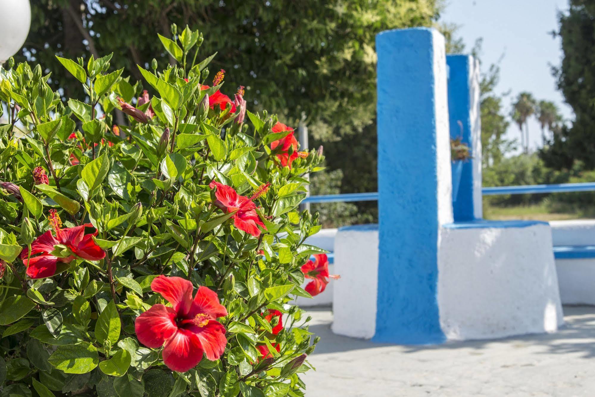 Yiannis Yard Studios & Apartments Kos By Eksteriør billede